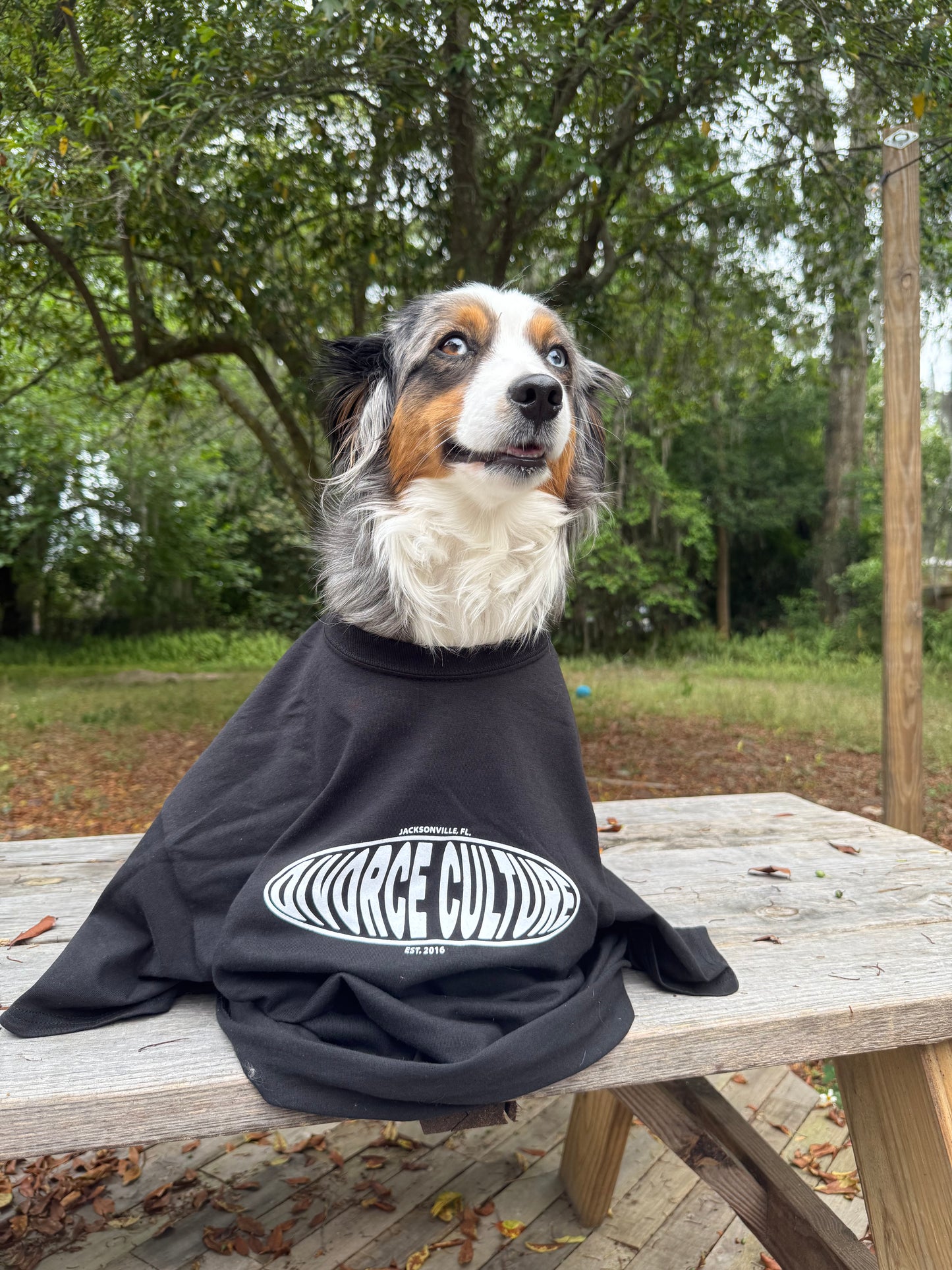 Divorce Culture Logo T-Shirt